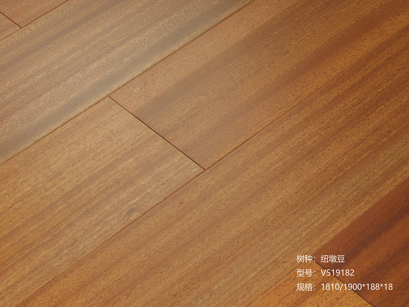紐墩豆-V519182