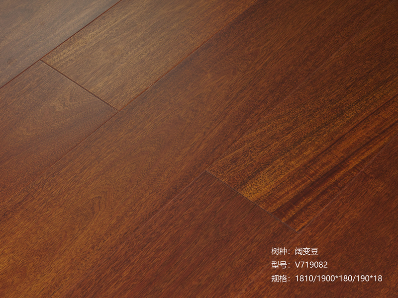 闊變豆-V719082